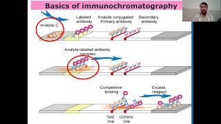 Immunochromatographic Assay or Technique I Guide to Immunochromatographic Assay [upl. by Falda]