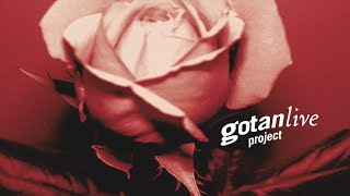 Gotan Project Live Full Album [upl. by Dmitri]