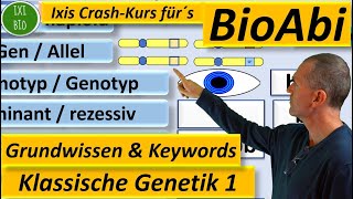 klassische Genetik 1a Grundwissen und Keywords [upl. by Rinaldo918]