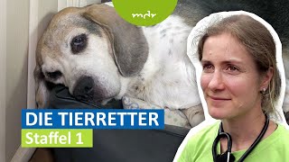 Die Tierretter 1  Helfer im Einsatz  MDR [upl. by Serra]