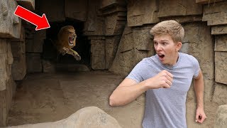 Exploring Secret Abandoned Zoo NOT SAFE [upl. by Weir]