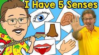 I Have Five Senses Jack Hartmann Senses Song [upl. by Fayette]