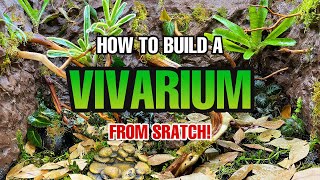 How to build a Tropical Vivarium  Drylock Background Tutorial [upl. by Lewiss]