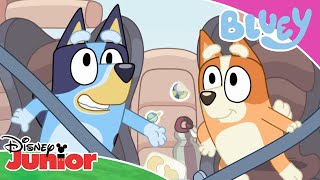 🚗 Przejażdżka z tatą  Blue  Disney Junior Polska [upl. by Ailec345]