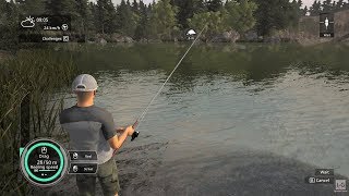 Pro Fishing Simulator  PC Gameplay 1080p60fps [upl. by Nomaid907]