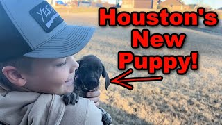 Houstons New PUPPY [upl. by Reppart]