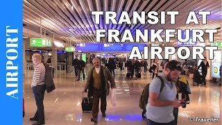 TRANSIT WALK AT FRANKFURT Airport FRA Terminal 1  Connection Flight Transfer Arriving amp Departing [upl. by Garneau]