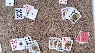 How to play Euchre Part 24 [upl. by Haland]