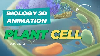 The Secret World Inside Plant Cells  3D Animation Reveals [upl. by Glad]