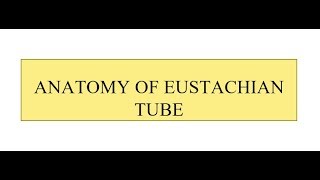 Anatomy of Eustachian Tube [upl. by Nicol272]