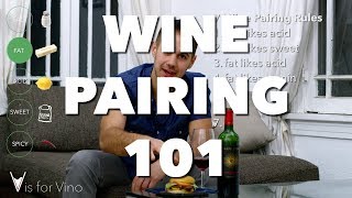 Wine Pairing 101  Super Easy Food and Wine Pairing from V is for Vino [upl. by Nolyad143]