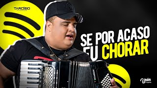 SE POR ACASO EU CHORAR  Tarcísio do Acordeon [upl. by Haseefan]