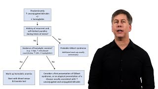 An Approach to Jaundice [upl. by Clarey]