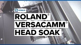 How to Perform a Head Soak for the Roland® VersaCAMM® [upl. by Salisbury]