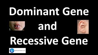 Dominant Gene and Recessive Gene  Genetics  Science [upl. by Syah855]