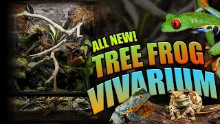 How To Setup A Bioactive Tree Frog Terrarium Exo Terra Tree Frog Terrarium [upl. by Annay]