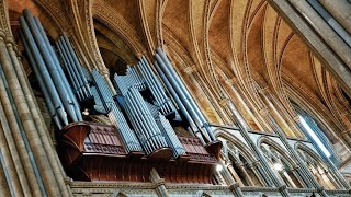 Organ Recital Jan Liebermann [upl. by Eitsym]