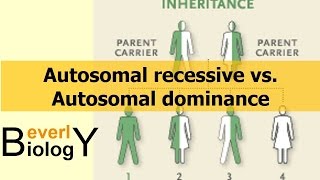 Autosomal Recessive vs Autosomal Dominance [upl. by Haas]