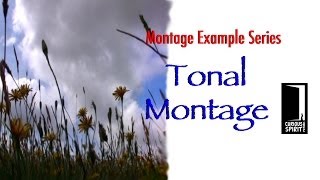 Tonal Montage  Education Resource [upl. by Acinelav]